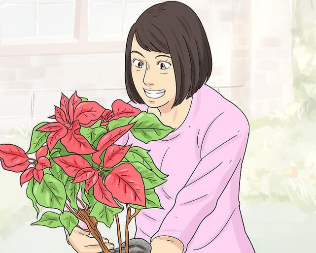 Introduce different kinds of hobbies as an alternative to gambling.